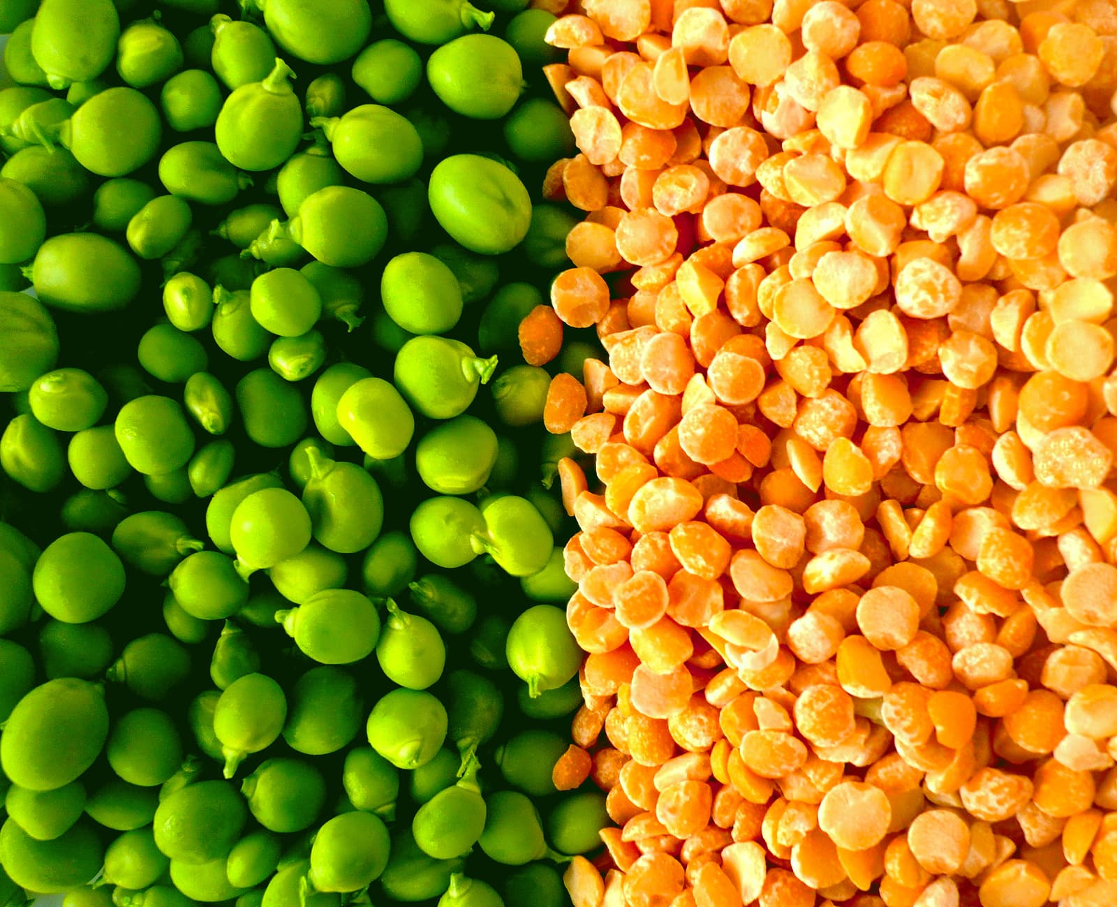 6 Unknown Pea Protein Benefits