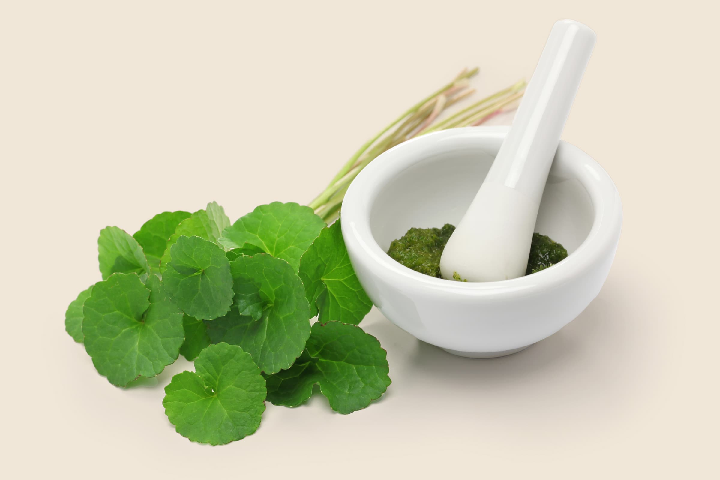 Boost Your Cognition and Memory with Gotu Kola — A Powerful Ayurvedic Herb