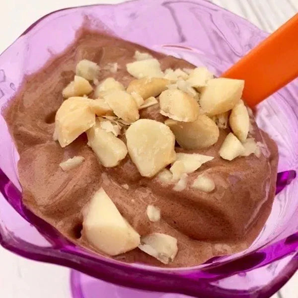 Chocolate B’Nice Vegan Protein Ice Cream Recipe