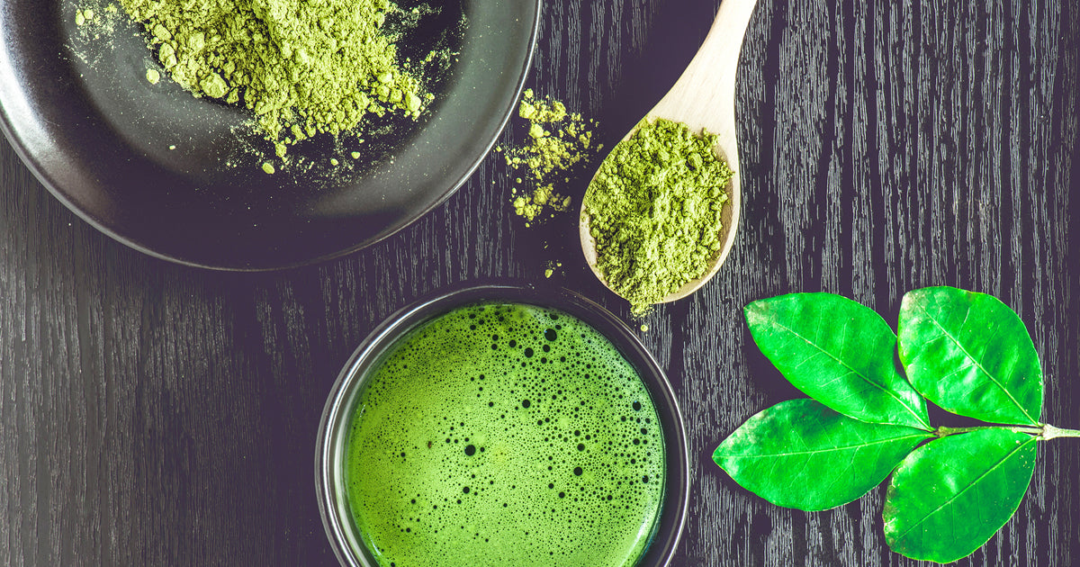 Everything You Need to Know about Matcha