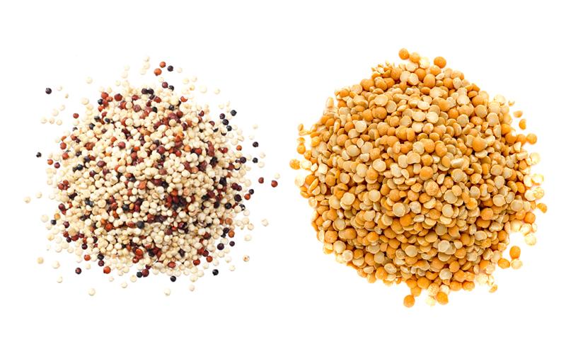 Pea Protein vs Quinoa Protein